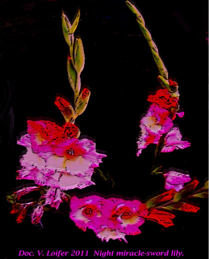 Night miracle-sword lily Digital Art by Dr Loifer Vladimir