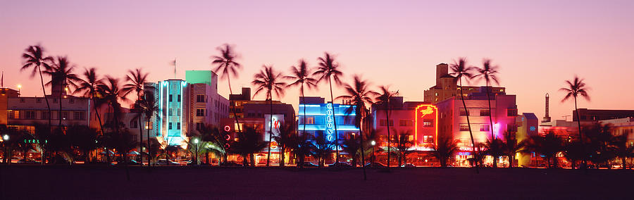 Tree Photograph - Night, Ocean Drive, Miami Beach by Panoramic Images