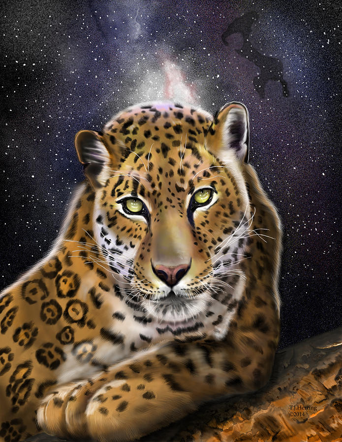 Fourth of the Big Cat Series - Leopard by Thomas J Herring Fourth of the Big Cat Series - Leopard by Thomas J Herring