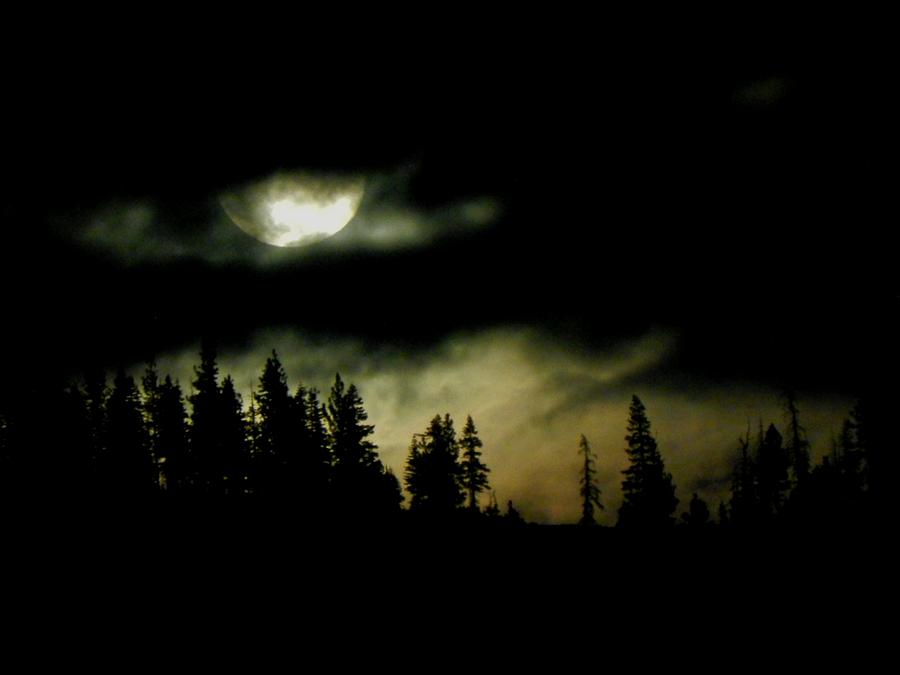 Fantasy Photograph - Night of the Moon by Leah Moore