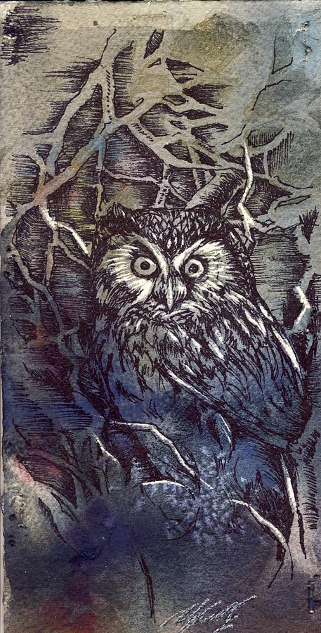 Night Owl Drawing by Alfred Ng
