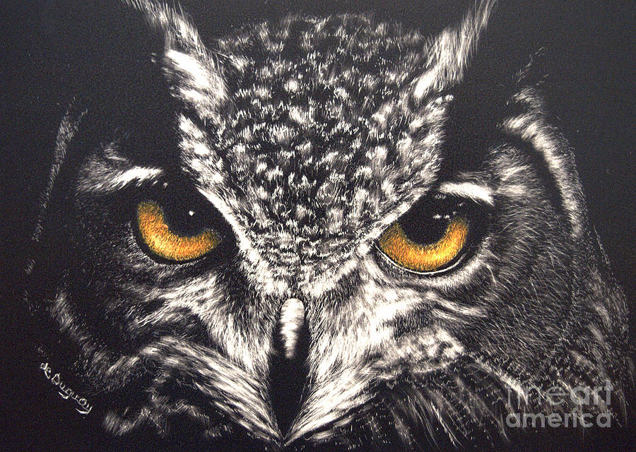 Night Owl Drawing by Lora Duguay