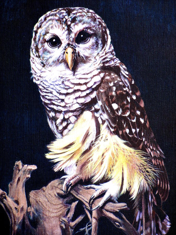 Night Owl Painting