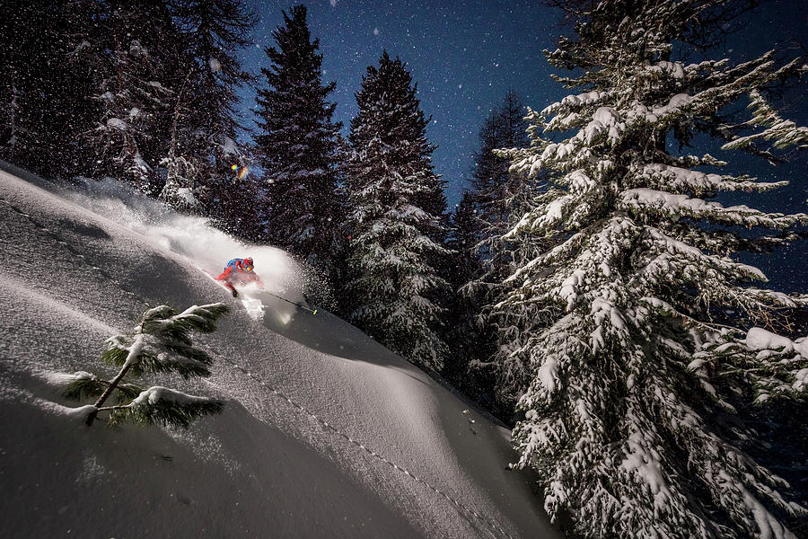 Tree Photograph - Night Powder Turns With Adrien Coirier by Tristan Shu