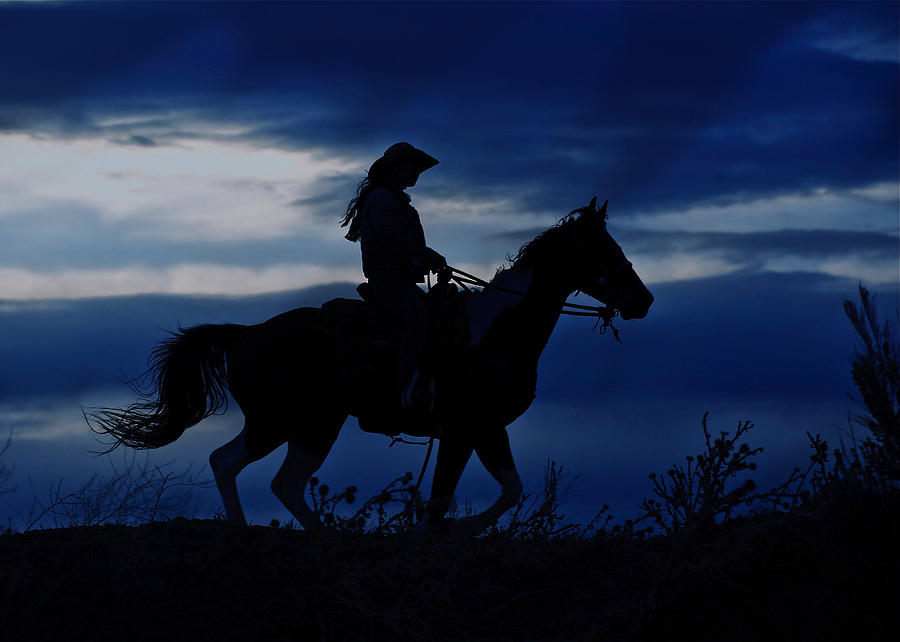 Night Rider  Photograph by Pamela Steege