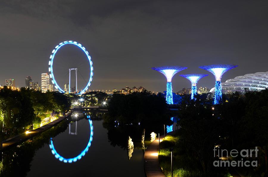 Night shot of Singapore Flyer Gardens by the Bay and water reflections Photograph by Imran Ahmed