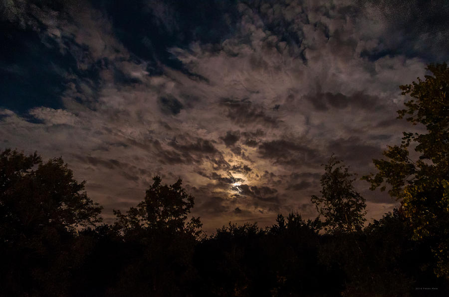 Night Sky - Autumn 1 Photograph by Frank Mari