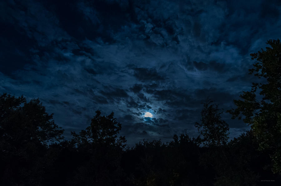Night Sky - Autumn 2 Photograph by Frank Mari