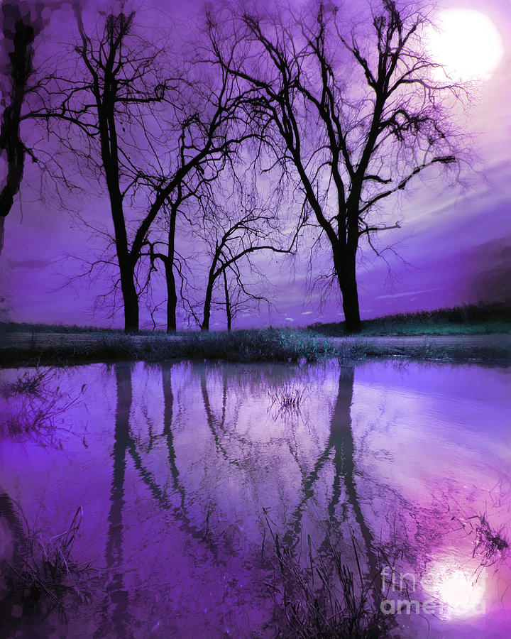 Night sky in purple Photograph by Gina Signore