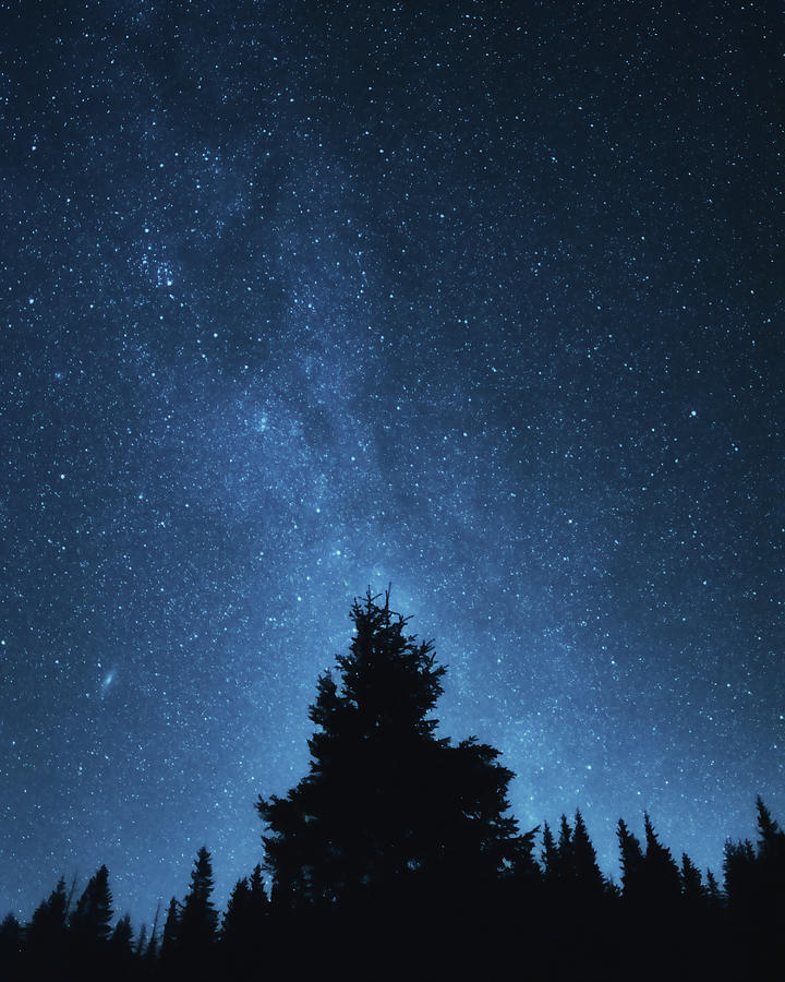 Night Sky Photograph by Misha Kaminsky