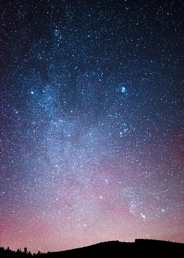 Night sky over the forest Photograph by Misha Kaminsky
