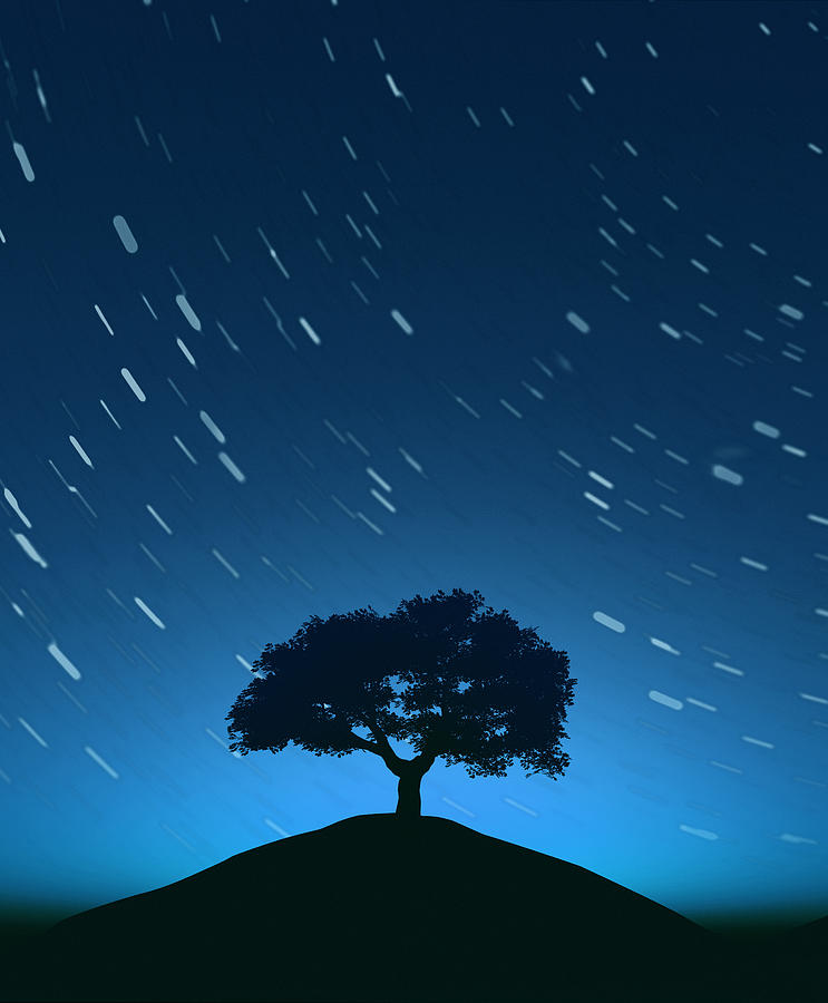 Night Sky With Tree And Moving Stars Photograph by Artpartner-images