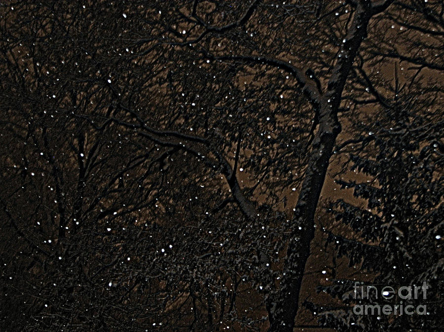 Night Snow Series Natural Photograph by Roxy Riou