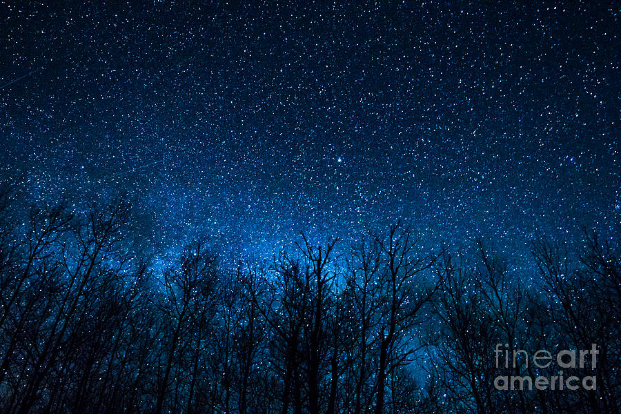 Night Stars Photograph by Lori Dobbs