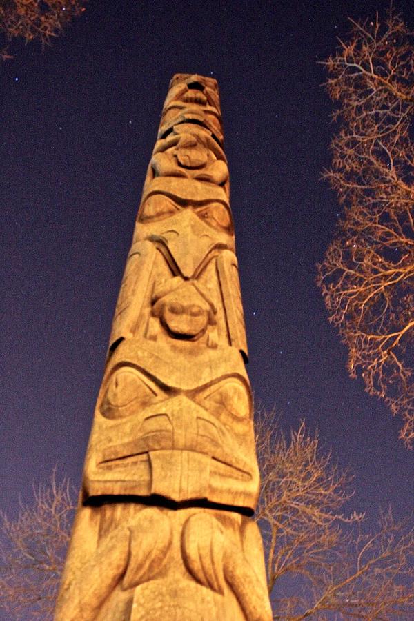 Night Totem  Photograph by Brian Sereda