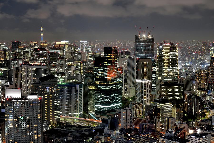 Night View Of Tokyo Downtown by Vladimir Zakharov