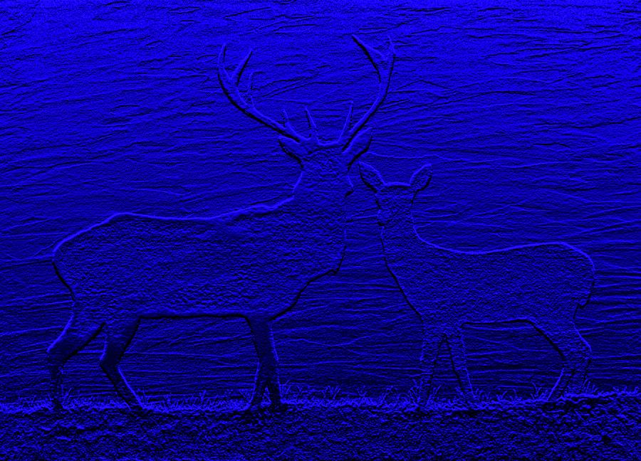 Night View with Deers digital painting Painting by Georgeta  Blanaru