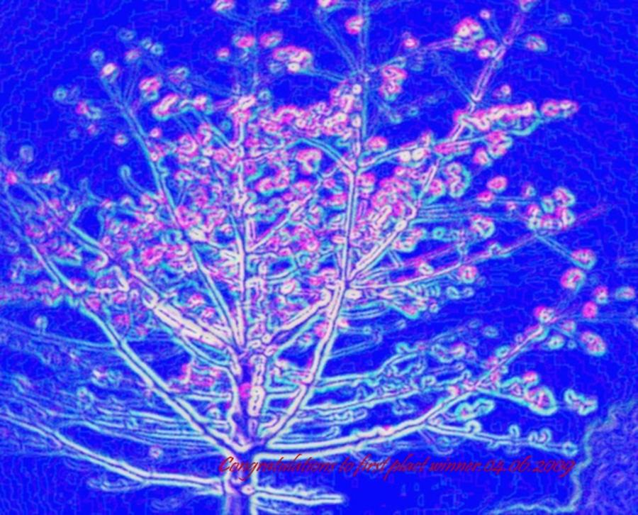 Night.Coral tree. Digital Art by Dr Loifer Vladimir