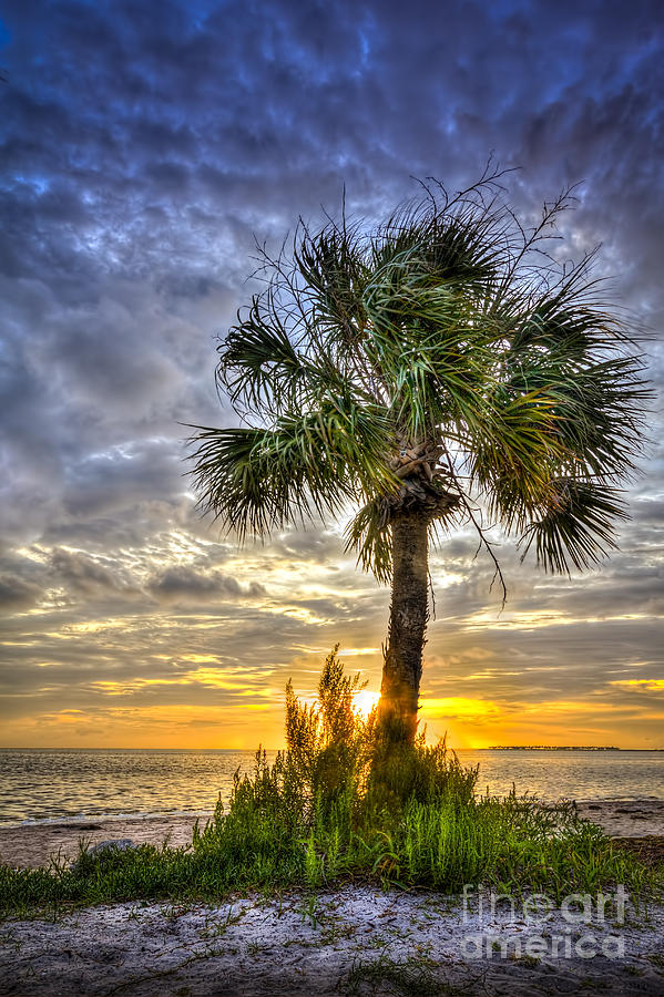 Florida Sunset Photograph - Nightfall by Marvin Spates