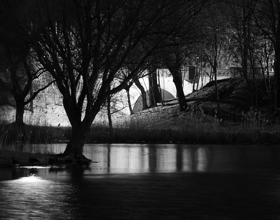 Night Photograph - Nightpond by Dennis Wilson
