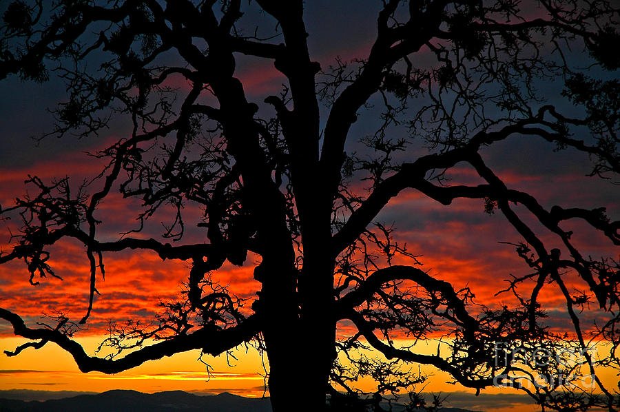 Nikon Nicks Sunset Photograph by Nick Boren