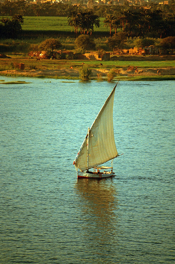 Nile Falucca Photograph by Dennis Cox