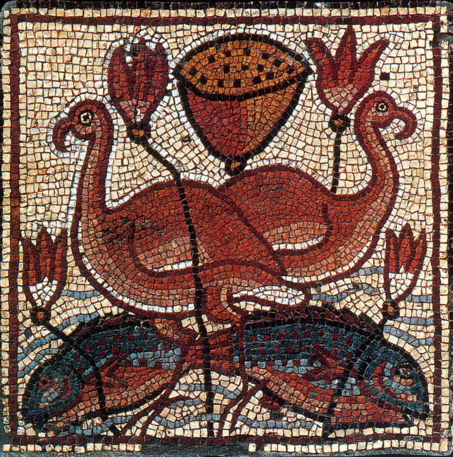 Nile Fauna, Byzantine Mosaic, 6th Photograph by Science Source