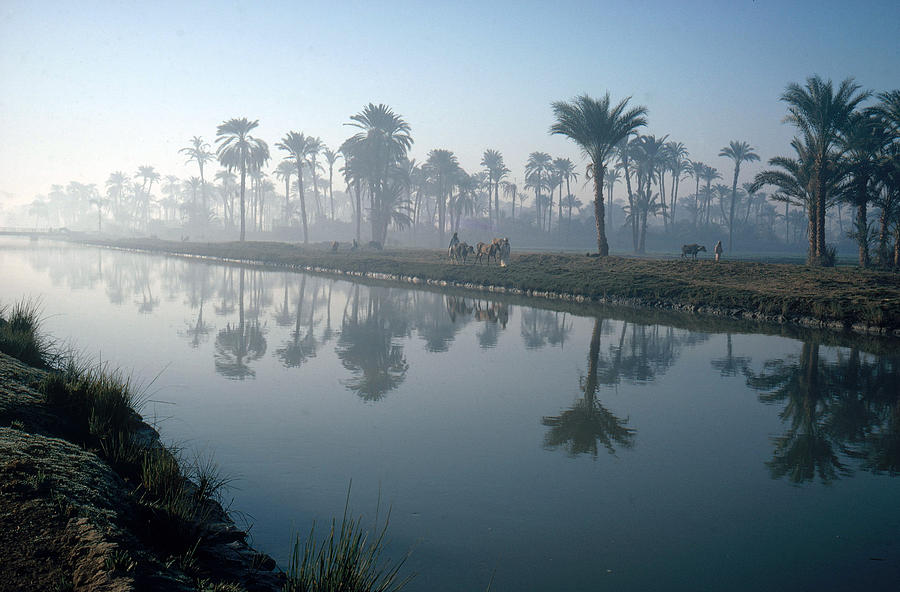 Nile River Photograph by Brian Brake