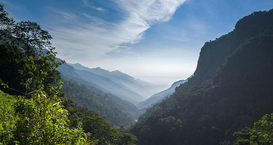 Nilgiris mountain range Photograph by © Naufal MQ