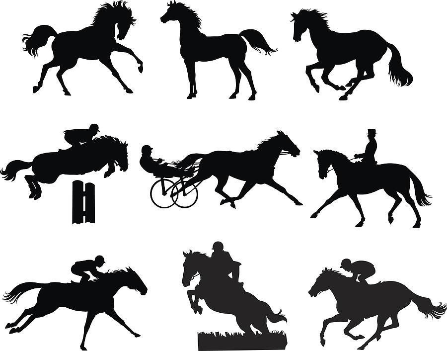 Nine Horses Silhouettes - Equestrian Drawing by VasjaKoman