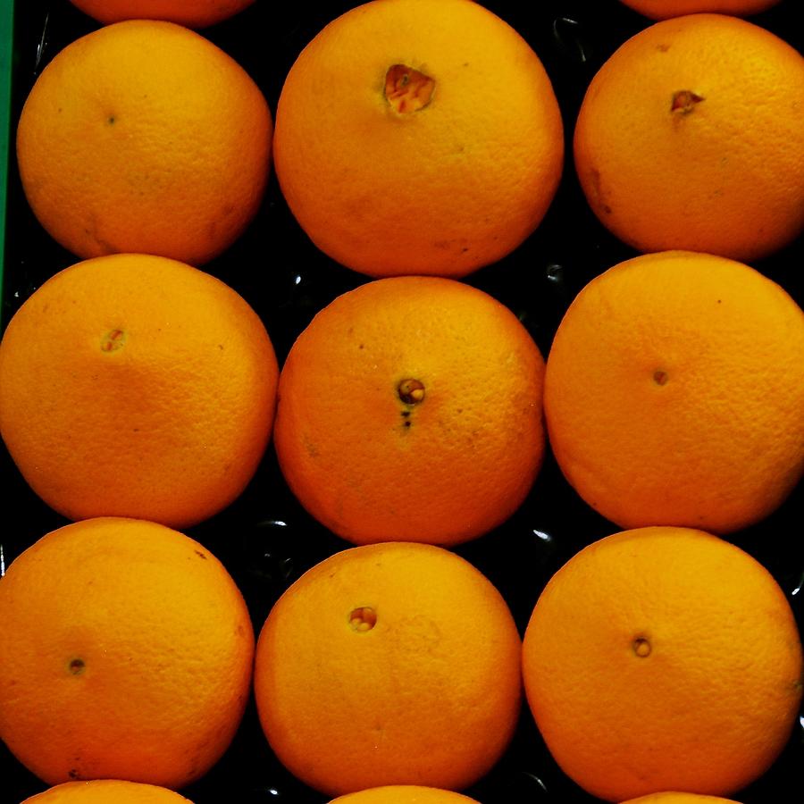 Nine Oranges Photograph by Eric Tressler