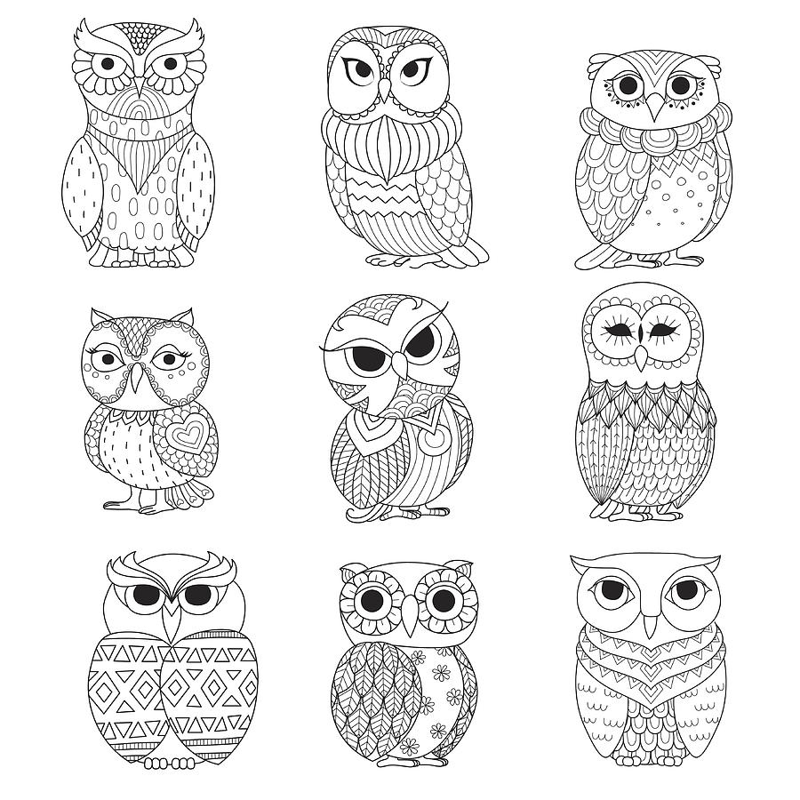 Nine Owls Coloring Books Drawing by Bimbimkha007