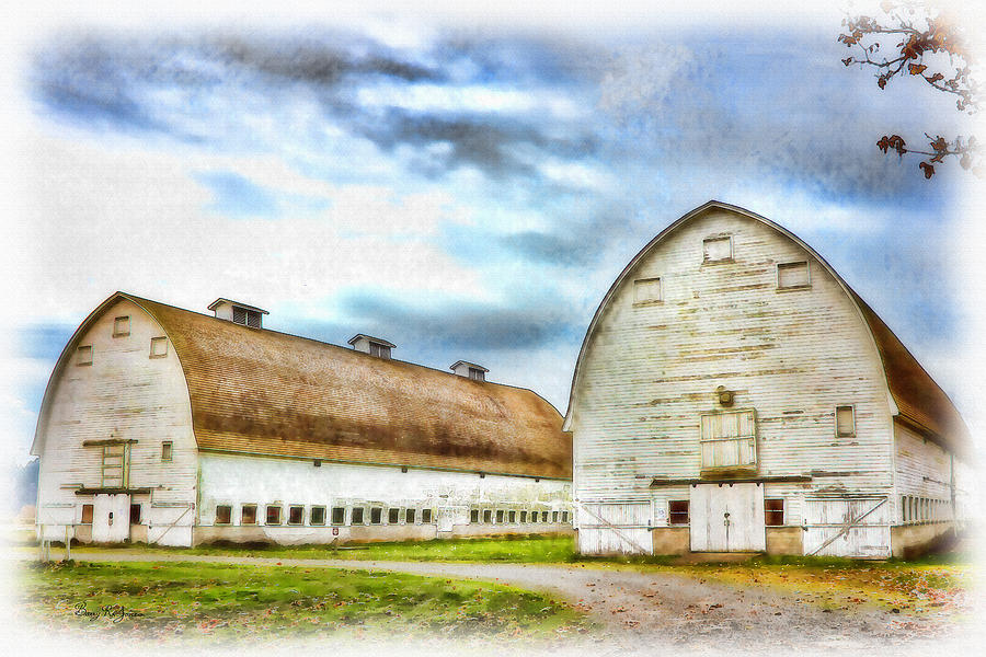 Farm - Barn - Nisqually Barns - 3 Photograph by Barry Jones