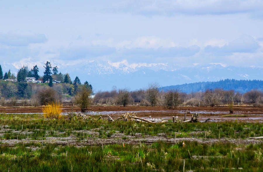 Nisqually Delta of the Nisqually National Wildlife Refuge Photograph by Tikvahs Hope