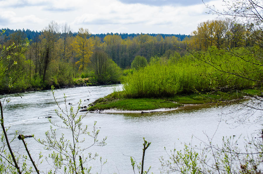 Nisqually River from the Nisqually National Wildlife Refuge Photograph by Tikvahs Hope