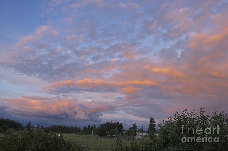 Nisqually Valley Sunset Photograph by Sean Griffin