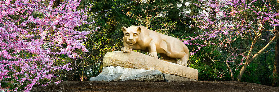 Flower Photograph - Nittany Lion in Springtime Panorama by William Ames