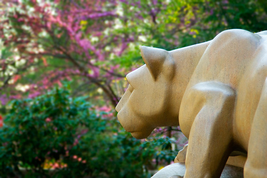 Penn State Photograph - Nittany Lion Looking Ahead by William Ames