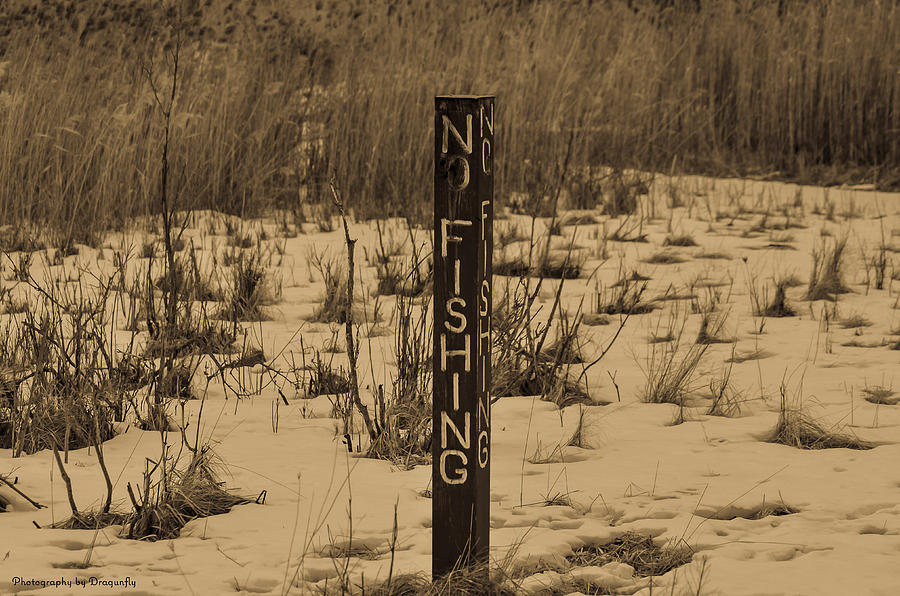 Sign Photograph - No Fishing by Christy Pollard