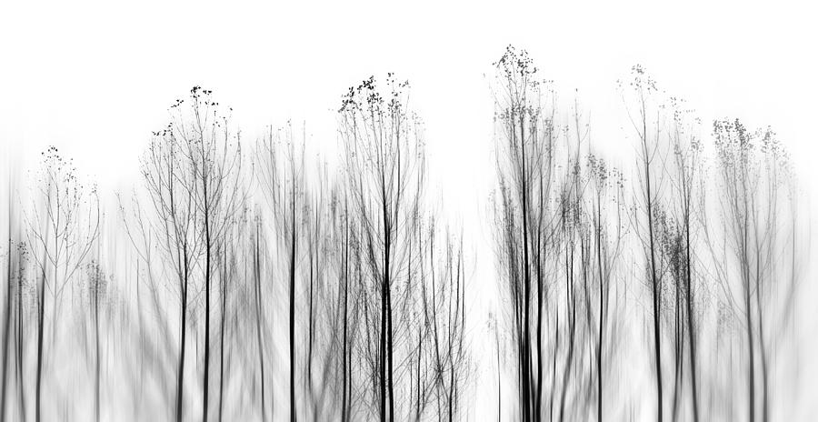 Black And White Photograph - No Grounds by Paulo Abrantes