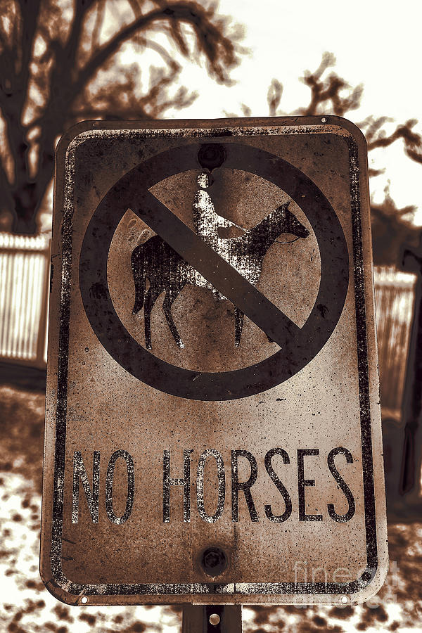 Horse Photograph - No Horses by Lynn Sprowl