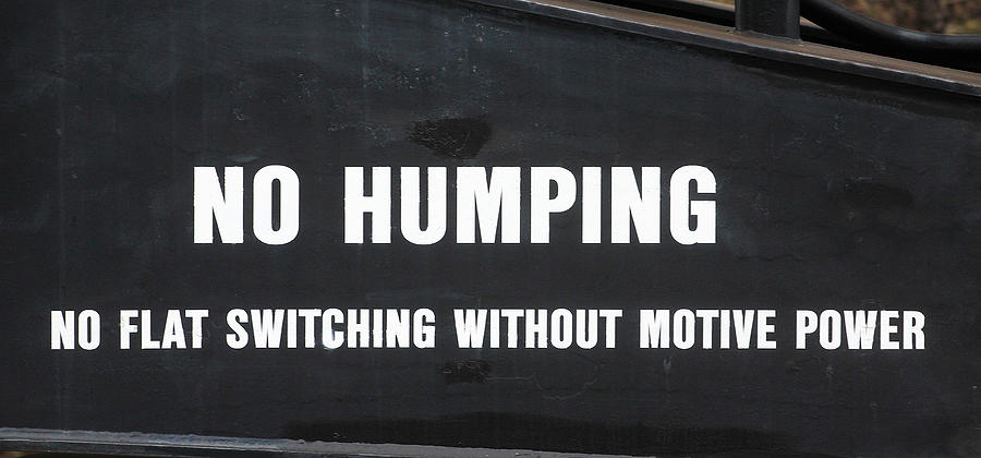 No Humping Photograph by Joseph C Hinson