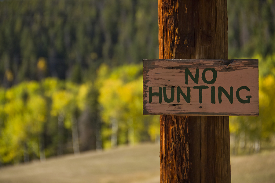 No Hunting Photograph by Angelina Tamez