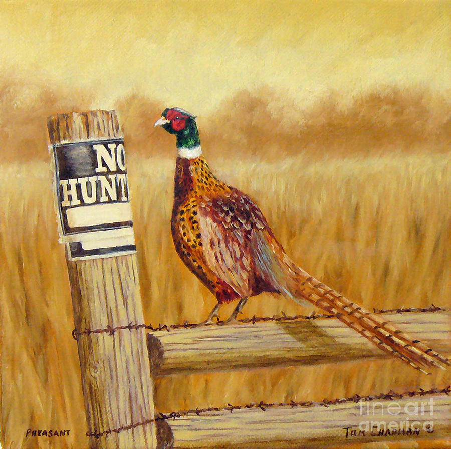 No Hunting   Pheasant Painting by Tom Chapman