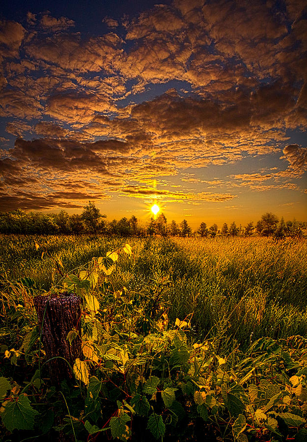 No Hurry Photograph by Phil Koch