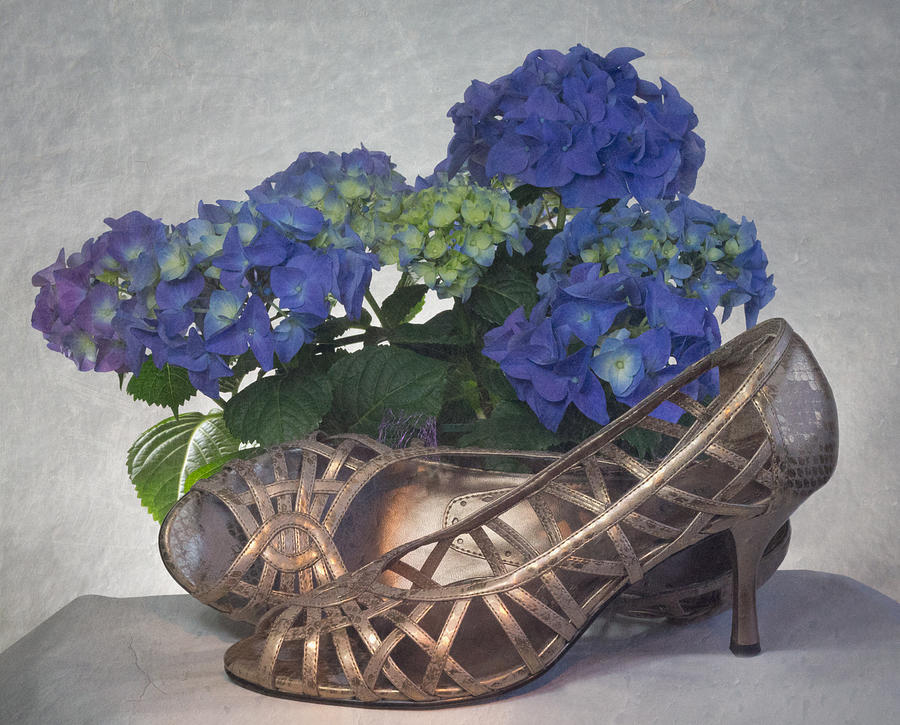 Hydrangea High Heels Photograph by Patti Deters
