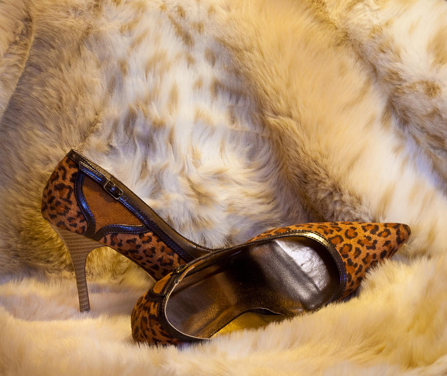 Leopard Photograph - Leopard and Fur High Heels by Patti Deters