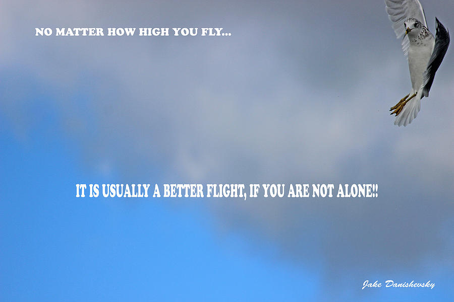 No Matter How High You Fly Photograph by Jake Danishevsky
