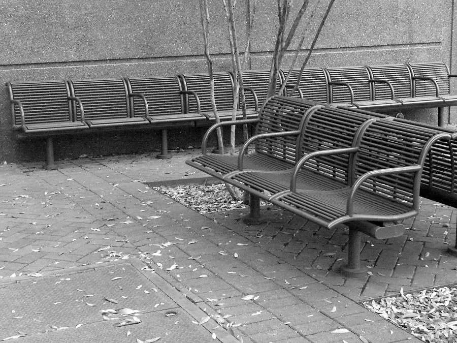 No One Sits Here Photograph