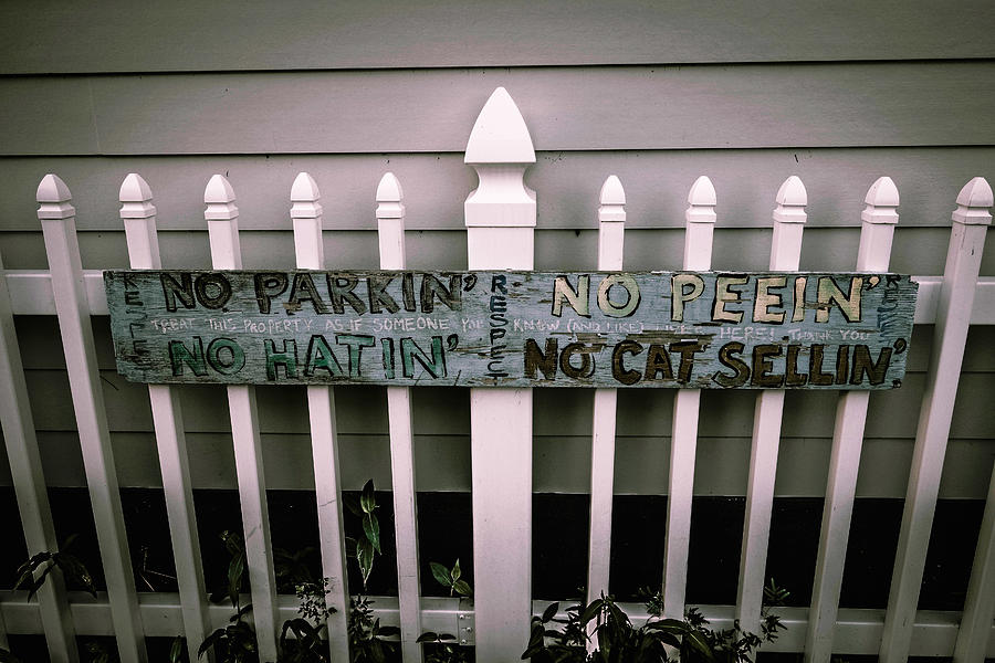 No Parking No Peeing No Hating No Cat Selling by Louis Maistros No Parking No Peeing No Hating No Cat Selling by Louis Maistros